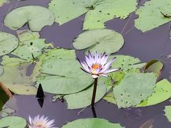 -云溪植物园