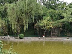 -西安市长乐公园