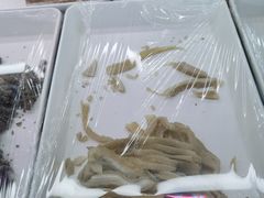 -隆福寺小吃店(东四店)