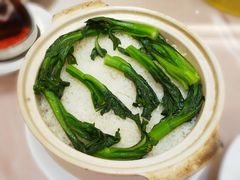 -东方御宴海鲜酒楼(棕泉酒店)
