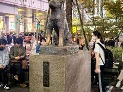 -涩谷区