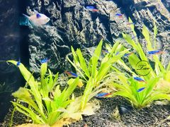 -常州海昌海洋探索馆