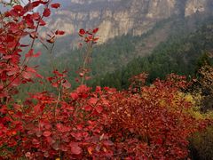 -狼牙山风景区
