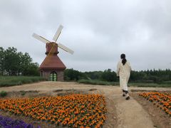 -杭州湾海上花田景区