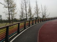 -府河摄影公园
