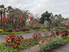 -中澳友谊花园