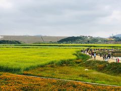 -光明小镇欢乐田园