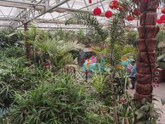 -南宫五洲植物乐园