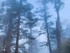 -瓦屋山景区