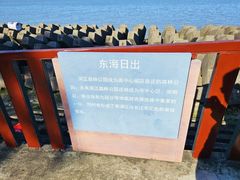 -上海滨江森林公园