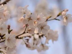 -苏州太湖国际会议中心