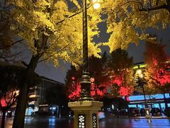 -皇冠幸福里动物奶油生日蛋糕(光谷软件园店)