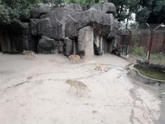 -南昌动物园