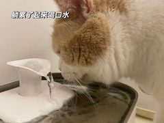 -萌兽医馆·犬猫专科·眼科中心·宠物医院(朝阳门分院)