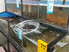 水产区-渔民船说·北塘海鲜·天津菜·海肠捞饭(北塘古镇店)