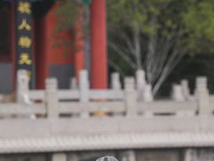 -百脉泉景区
