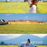 大理旅行|喜洲油菜花田，好像来到宫崎骏的世界
