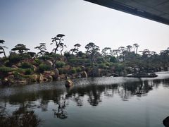 -罗红摄影艺术馆