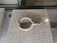 -上海市龙华烈士陵园