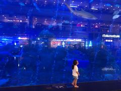 -成都浩海立方海洋公园