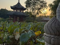 -莲池书院博物馆