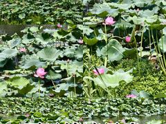 -苏州吴中太湖旅游区