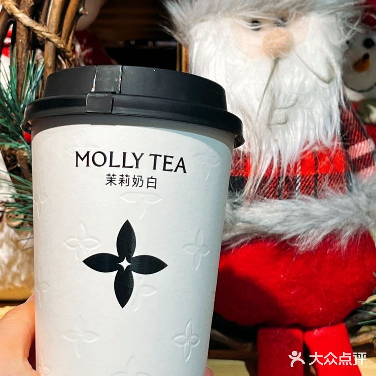 2024年的尾巴，和茉莉奶白一起…