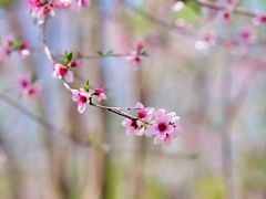 -雅达·阳羡溪山小镇中心