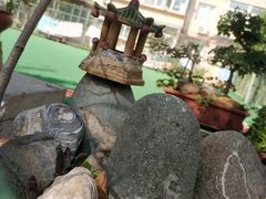 -茶大椰·椰子茶(星悦荟店)