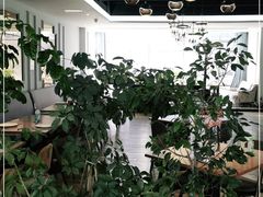 -香草意餐厅(杏石口路店)