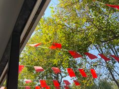 -泗洪洪泽湖湿地景区