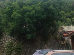 -草庵摩尼教遗址公园