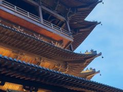 -杭州半山国家森林公园