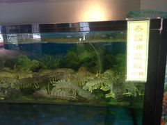 -聚龙酒家(富豪花园店)