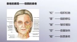 -美肤盾祛痘·问题肌头疗管理中心