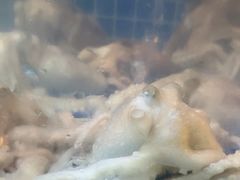 -老班长大酒店(海关大楼店)