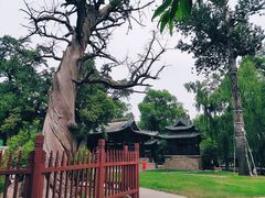 -晋祠公园