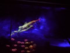 景点-贝壳梦幻世界