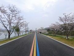 -羊山湖公园