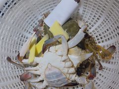 -三个渔夫·蒸汽海鲜(小白楼店)