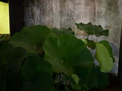 -几荷·恰似故人来(秀水广场店)
