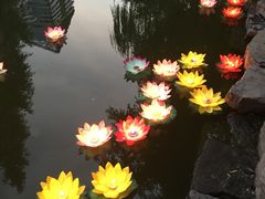 -西安曲江寒窑遗址公园