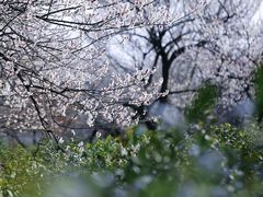 -西山风景区