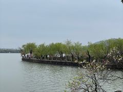 -无锡蠡湖国家湿地公园-蠡园