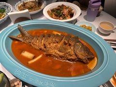 -阿五黄河大鲤鱼(英协路店)