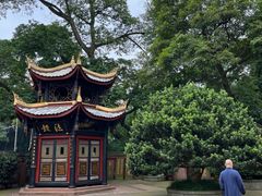 -峨眉山报国寺