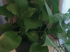 -宴昆山·私房菜(春晖店)