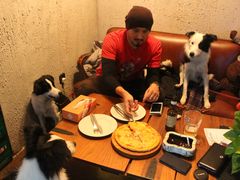 PIZZA-百好乐宠物友好餐厅(朝外大街店)