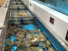 -腾阁自助餐厅(朝林广场店)