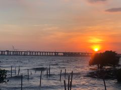 -宝安西湾红树林湿地公园